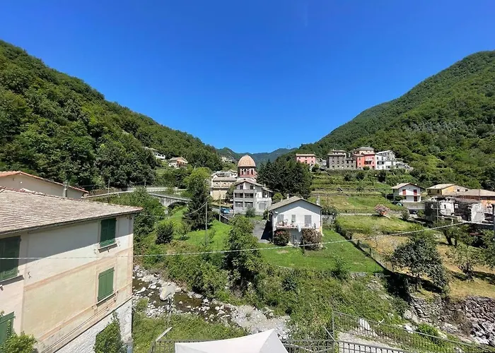 Il Bosco By World